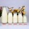 Milk bottle MG16CTP01